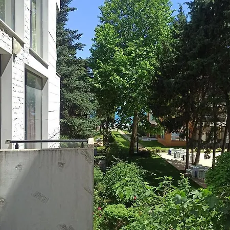 Amara-boutique&design - студио